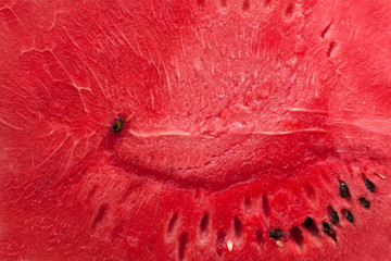 watermelon pop-art style
