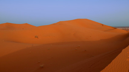 Fototapeta na wymiar Sahara,Maroc
