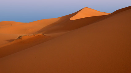 Fototapeta na wymiar Sahara,Maroc