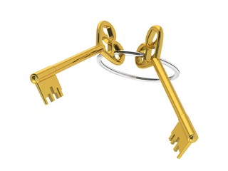 The 3D illustration a golden keys.