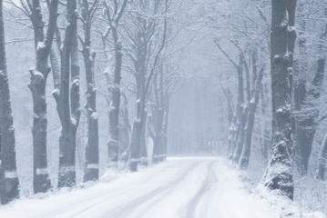 Snow-covered country road on winter evening