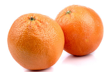 Citrus Fruit
