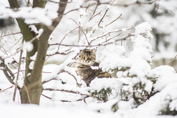 In winter