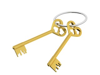 The 3D illustration a golden keys.