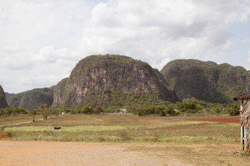 valle di Vinales Stato di Cuba © frrlbt