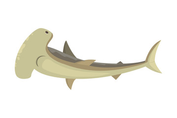 Fototapeta premium Vector shark character.