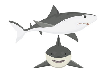 Vector shark character.