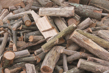 Legna da ardere