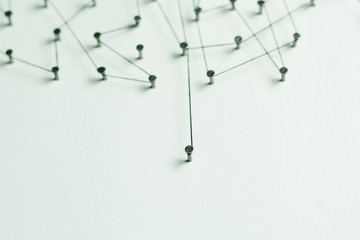 Linking entities. Network, networking, social media, internet co