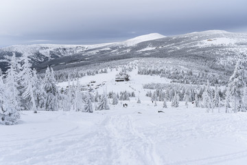 Obraz premium Karkonosze mountains in winter