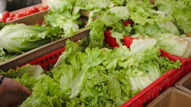 Harvest lettuce on the counter at the farmers market