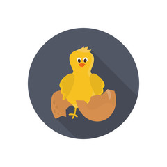 Chicken color flat icon for web and mobile design