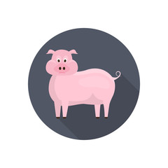 Pig color flat icon for web and mobile design