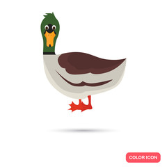 Duck color flat icon for web and mobile design