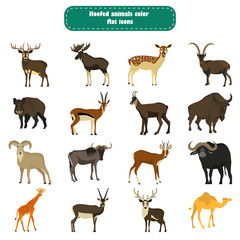 Set of color flat hoofed animals icons