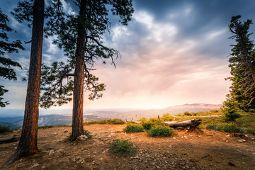 Fototapeta na wymiar Pine trees on rocky mountain against Bryce Canyon