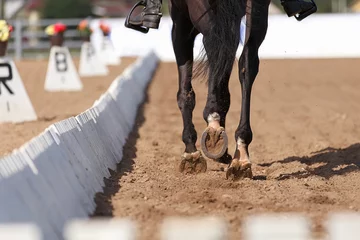 Rolgordijnen Paardrijden Close up image of a horse hooves in action