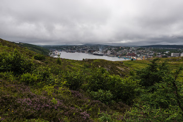 Newfoundland Harbour