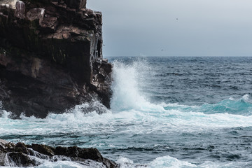 Newfoundland Harbour