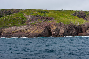 Newfoundland Harbour