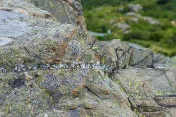 Newfoundland Harbour