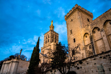 Fototapeta premium Palais des Papes d'Avignon et Cathédrale Notre-Dame-des-Doms à la nuit venue