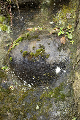 nodule / nodule in Nichinan-cho is called a 