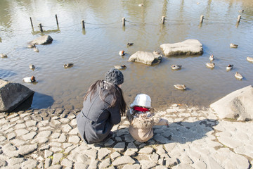 池の鳥を見る親子