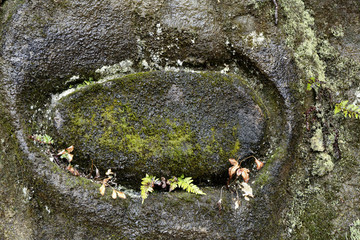 nodule / nodule in Nichinan-cho is called a 