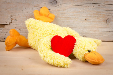 Red heart and funny duck in love for Valentine's Day