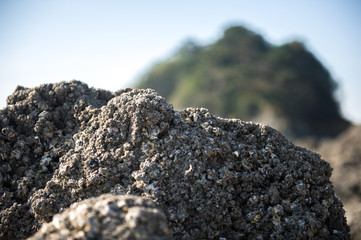 rocky island in anmyeondo4