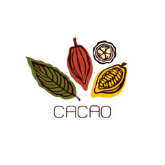 Cocoa fruit and leaves. Label. Hand drawn. Vector illustration.