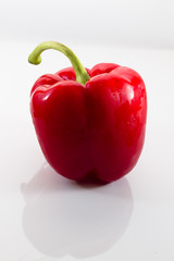 Isolated red pepper against a white background casting a reflection