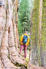 Tourist with backpack hiking in Sequoia National Park