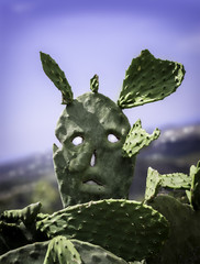 Kaktusgesicht,kaktus,portrait,artwork