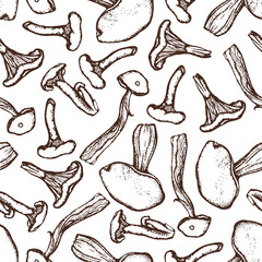 Seamless pattern with forest mushrooms. Boletus, porcini, chanterelles. Objects drawn with ink and pen. Hand drawn. Vector illustration.