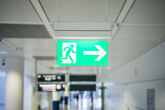 Schild - Notausgang - Hinweis