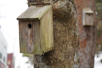 Bird house at Genbikei. Genbikei is a ravine or river gorge that has been designated a Place of Scenic Beauty and Natural Monument in Ichinoseki, Iwate Prefecture, Japan