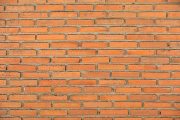 Brick wall with a narrow brick