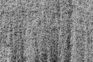 floral background - black and white