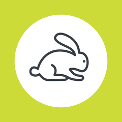 rabbit line icon isolated on white