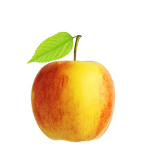 Red and yellow apple fruit with green leaf isolated on white