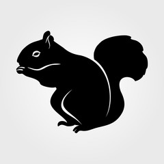 Squirrel icon on a white background