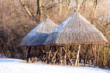 Fototapeta na wymiar special nature reserve in the winter