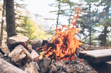 Tourists kindled fire