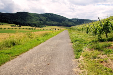 Weg von Veldenz nach Burgen zwischen Feldern und Weinbergen
