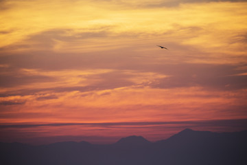 Obraz premium Sunset