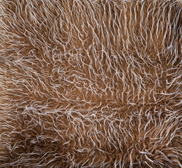 texture of fabrics resemble  wool