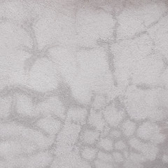 Close up of cracked concrete floor texture