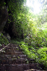 staircase in Bali rainforest